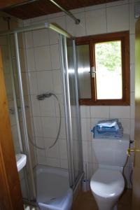 a bathroom with a shower and a toilet and a window at Ferienhaus Forellenwirt in Grünbach