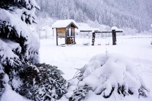 alpennest stubai v zime