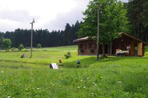 a cabin in a field with people in front of it at Ferienhaus Forellenwirt in Grünbach