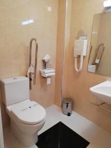 a bathroom with a toilet, sink, and shower stall at Hotel Turismo Miranda in Miranda do Douro