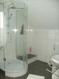 ein Bad mit einer Dusche und einem WC in der Unterkunft Apartment Adam in Bechenheim