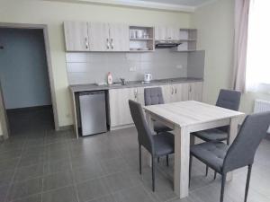 Kuchyň nebo kuchyňský kout v ubytování Penzion OSTROV