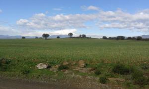 Fotografie z fotogalerie ubytování Can Jenot v destinaci Delfiá + 12 fotografií