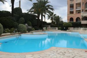 Πισίνα στο ή κοντά στο Appartement Palm d'Azur