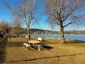 een park met banken en bomen en een meer bij Sweet Home in Castelletto sopra Ticino