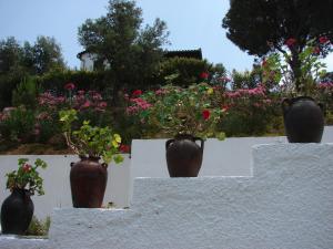 Um jardim em Villa Frideriki