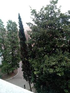Fotografie z fotogalerie ubytování B&B Xenia v destinaci Pordenone