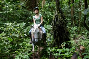 Imagen de la galería de Selva Bananito Lodge, en Westfalia