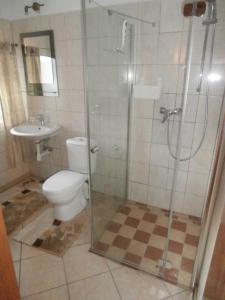 a bathroom with a shower and a toilet and a sink at Das Lux-Häusla in Kąty Bystrzyckie