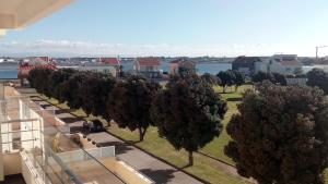 a row of trees on the side of a street at Wherry Green Guest House (PRAIA DA BARRA)❤️ in Praia da Barra