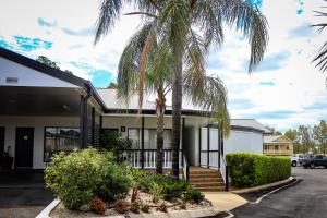 a palm tree in front of a building at The Club Motor Inn Chinchilla in Chinchilla