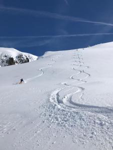 B&B Ursi tokom zime