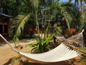 Giardino di Palm Forest Palolem