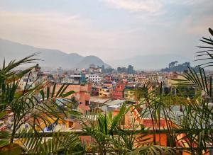 منظر الجبل العام أو منظر الجبل من الفندق