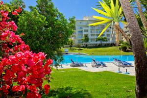 a resort with a swimming pool and a palm tree at Vila Marachique Torralvor in Alvor