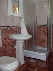 La salle de bains est pourvue de toilettes, d'un lavabo et d'une douche. dans l'établissement Apartments Bovan, à Herceg-Novi