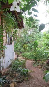 Jardin de l'établissement Lazy Lizard Hostel