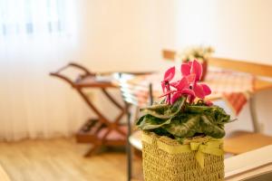 Fotografie z fotogalerie ubytování Apartments Mirjana v destinaci Pula