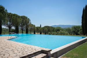a swimming pool in a garden with trees in the background at Cortile Del Pozzo in Buonconvento