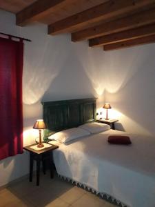 a bedroom with a bed and two lamps on tables at LA TANA DEL PICCHIO in Neviano degli Arduini