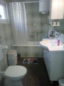 Kúpeľňa v ubytovaní VILLA ANA ZIVOGOSCE-Apartment4