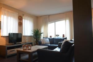 a living room with a couch and a tv at Appartement Derde Zandwijkje in Hollandscheveld