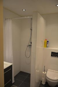 a white bathroom with a shower and a toilet at Appartement Derde Zandwijkje in Hollandscheveld +9 photos