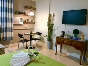 TV a/nebo společenská místnost v ubytování VL Garden Suites