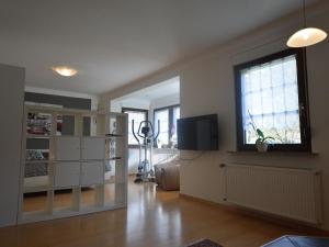 a living room with a television and a window at Apartment in Trittenheim with Terrace and Garden in Trittenheim