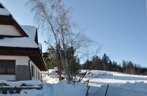 Apartamenty JSZI v zime