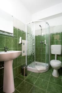 a bathroom with a shower and a toilet and a sink at Vila Camino in Satu Mare