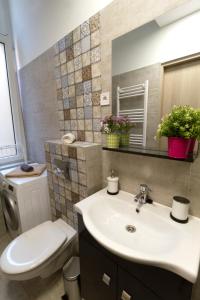 a bathroom with a sink and a toilet and a mirror at Karikum Large in Budapest