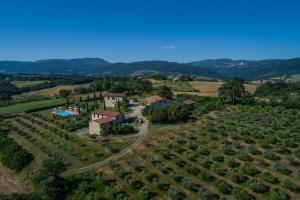 una vista aérea de una villa en un viñedo en Agriturismo San Nicolò, en Montecastelli