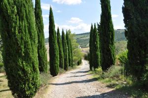 Foto sihtkohas Trevinano asuva majutusasutuse Campocane Oaks galeriist