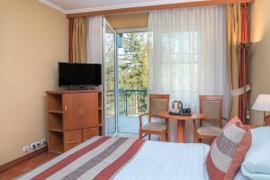 TV a/nebo společenská místnost v ubytování Hotel Spa Hévíz