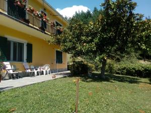 a tree in the yard of a house at Affittacamere Graziella in Vernazza