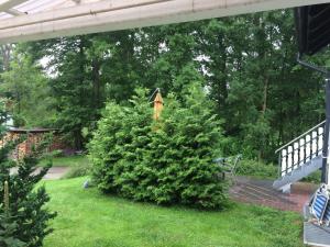 Ein Garten an der Unterkunft Ferienwohnung Rosi Stoppa
