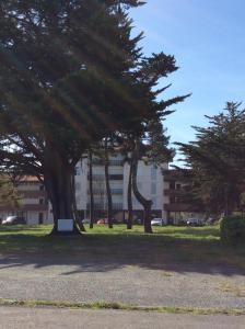 a group of trees in front of a building at La Forêt 5 in Mimizan-Plage
