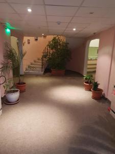 ソフィアにあるHostel Elenaの鉢植えの廊下