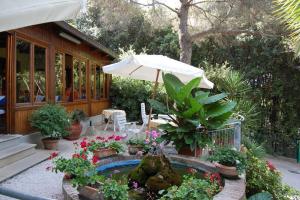 a patio with an umbrella and some plants and flowers at Hotel Rosa Del Tirreno in Quercianella