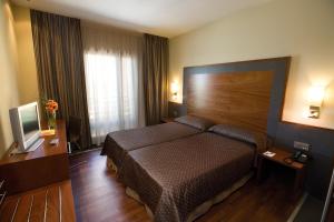 a hotel room with a bed and a television at F&G Logroño in Logroño
