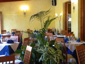 Ресторан / где поесть в Hotel Rosa Del Tirreno +31 фотография