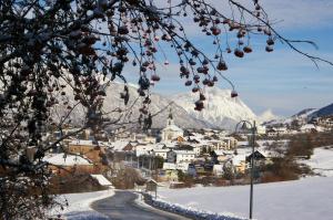 a town in the snow with a mountain in the background at Thalerhof in Roppen