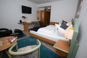 TV a/nebo společenská místnost v ubytování Paulin Hotel Trier