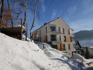 a house on top of a snow covered hill at Apartamenty Willowa in Szczyrk