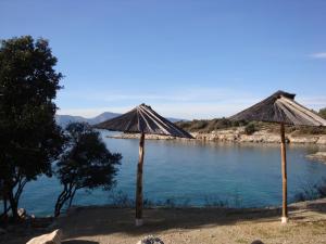 two umbrellas on the shore of a body of water at Apartments Olea in Pinezici