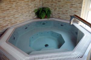 a large blue bath tub with a plant in it at Arany Szőlő Wellness Apartmanház in Hévíz