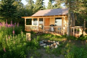 Zahrada ubytování Clam Gulch Lodge + 27 fotografií