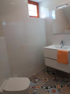 a bathroom with a toilet and a sink at APARTMA BREMEC-STUDIO in Bohinj