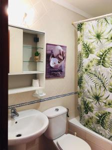 コラレホにあるApartamento Céntrico Lobosのバスルーム(トイレ、洗面台、シャワーカーテン付)